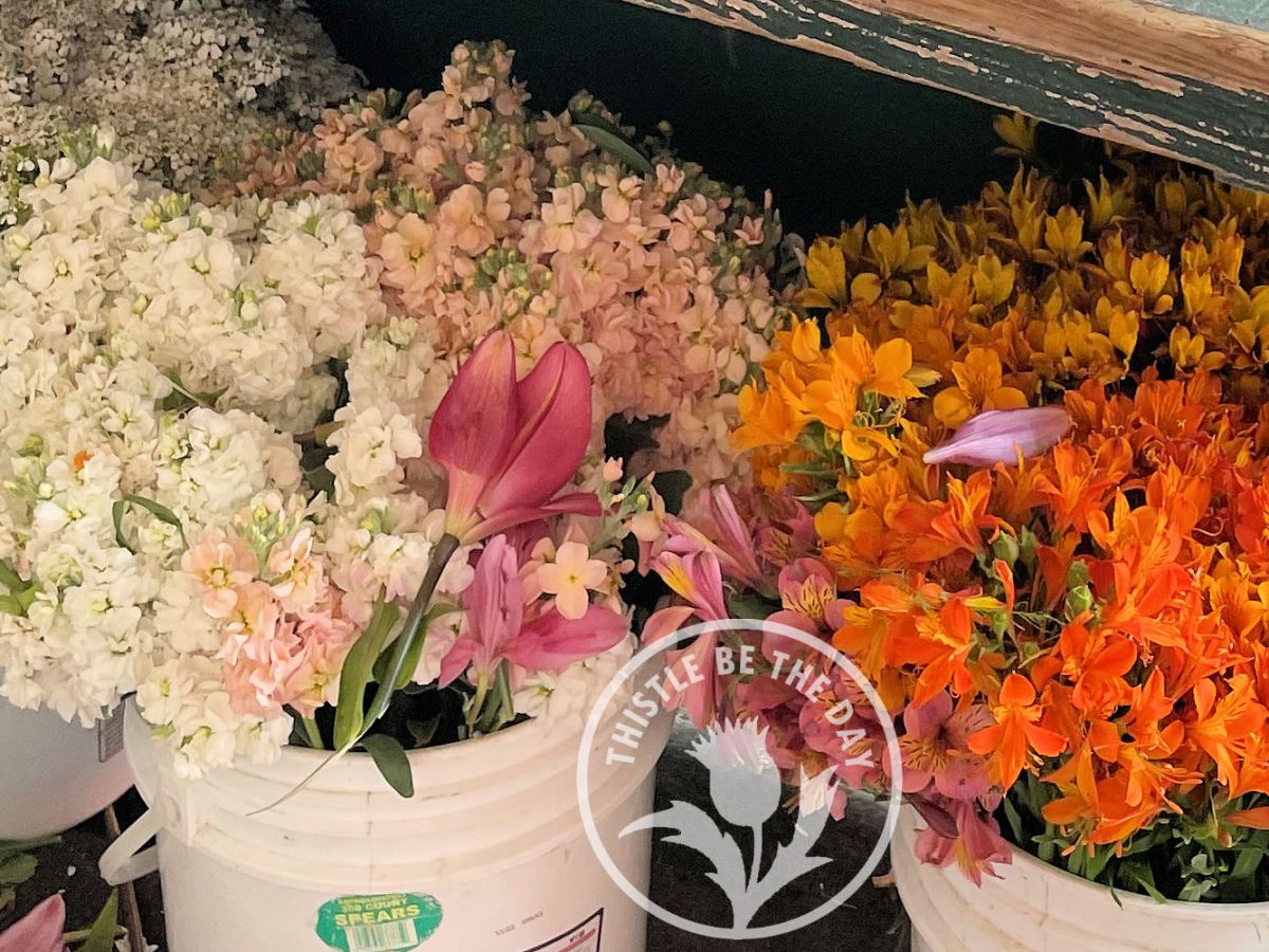 Field Trip: Pike Place&nbsp;Market