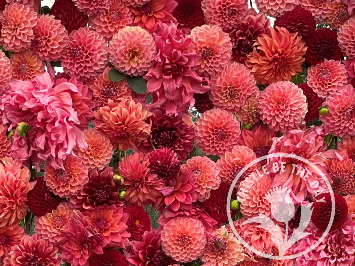 Field Trip: Triple Wren Farms in Ferndale,&nbsp;Washington