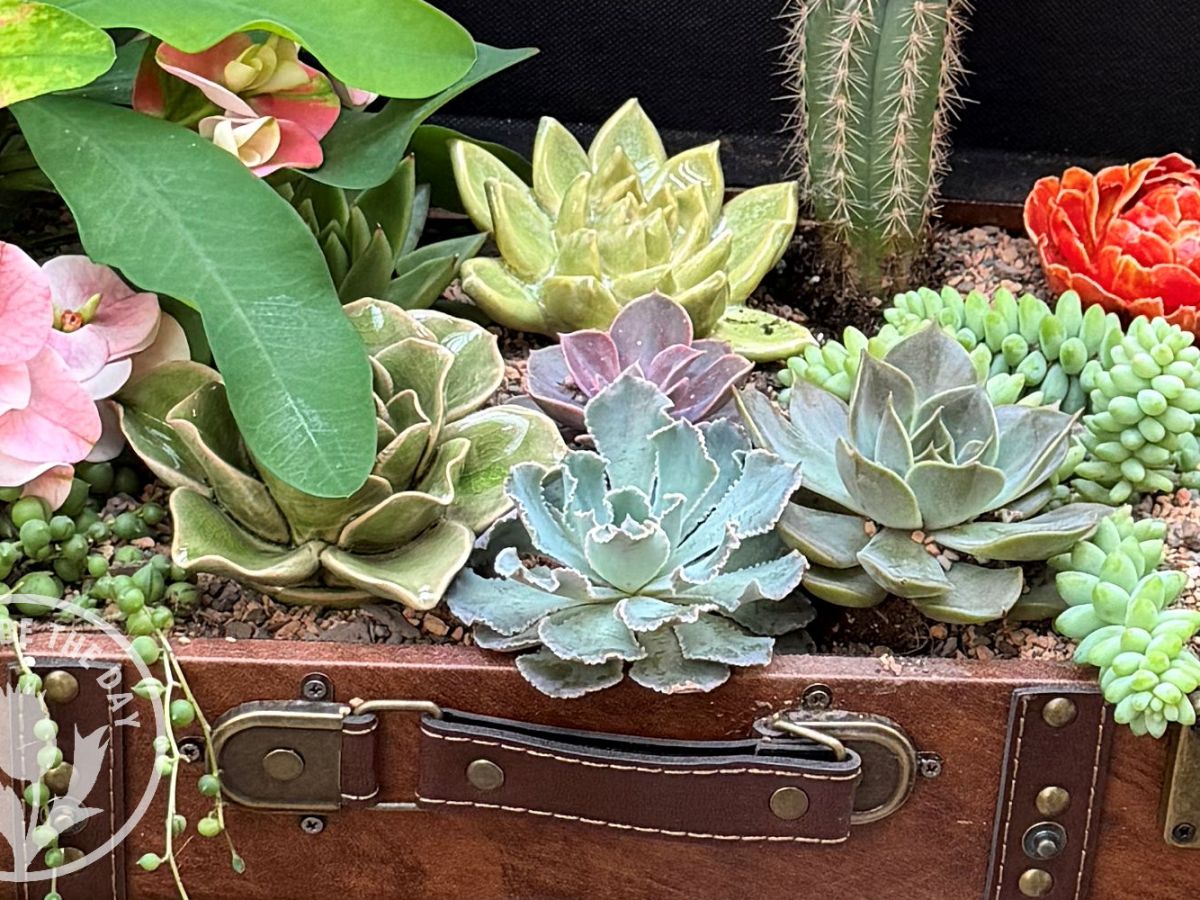 Field Trip: Adams Garden Show&nbsp;2026