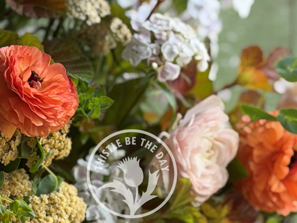 What’s Growing on in the Garden: June&nbsp;2026